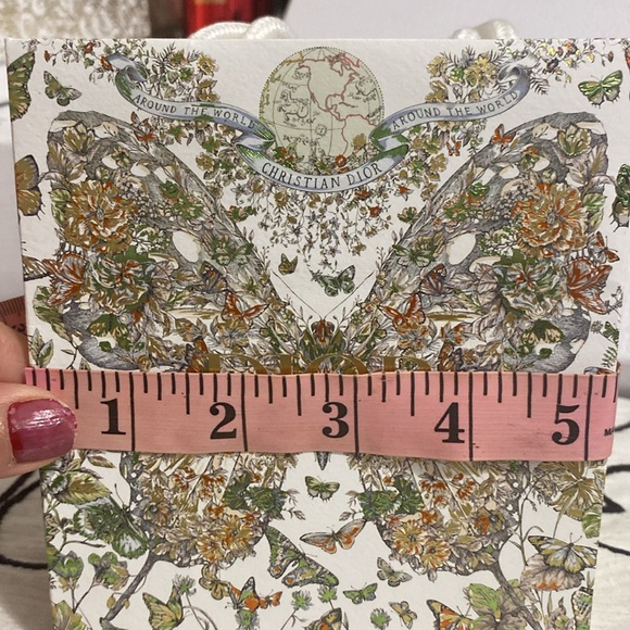 Dior Butterfly Gift Bag with Box - Picture 10 of 15